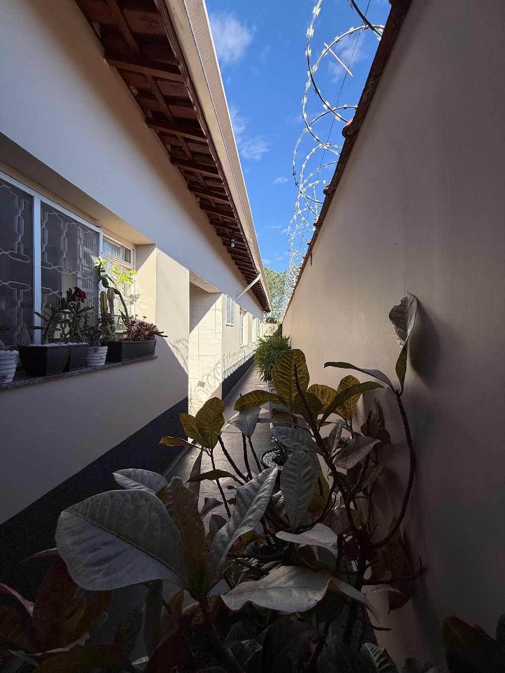 Casa